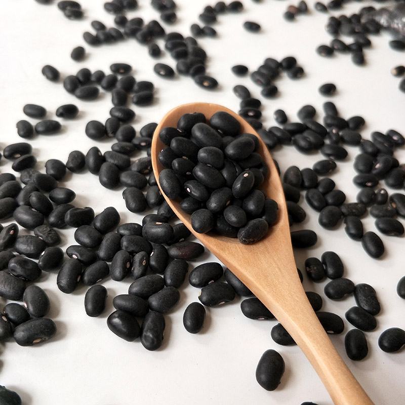 黑芸豆批发东北新货黑芸豆小黑豆黑眉豆五谷杂粮芸豆袋