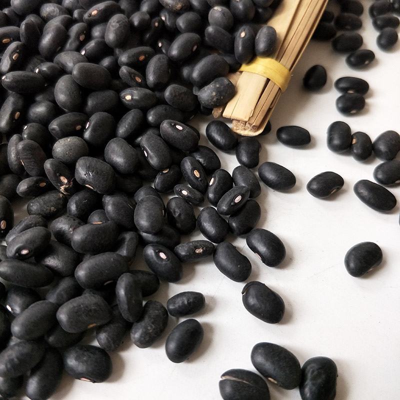 黑芸豆批发东北新货黑芸豆小黑豆黑眉豆五谷杂粮芸豆袋