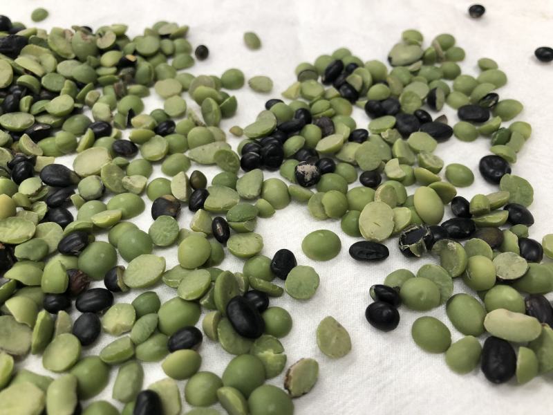 批发绿芯黑豆瓣农家新货绿心黑豆半粒碎打豆浆五谷杂粮袋装