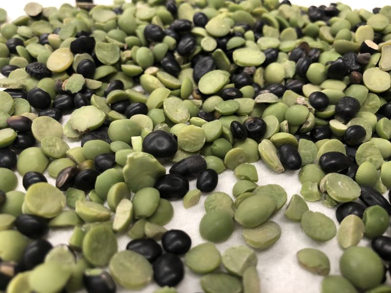 批发绿芯黑豆瓣农家新货绿心黑豆半粒碎打豆浆五谷杂粮袋装