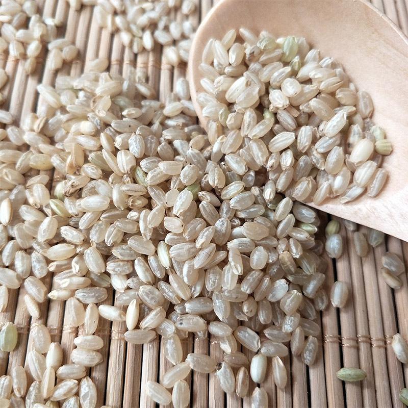 糙米批发糙米熬粥农家新货胚芽米玄米煮粥五谷杂粮糙米