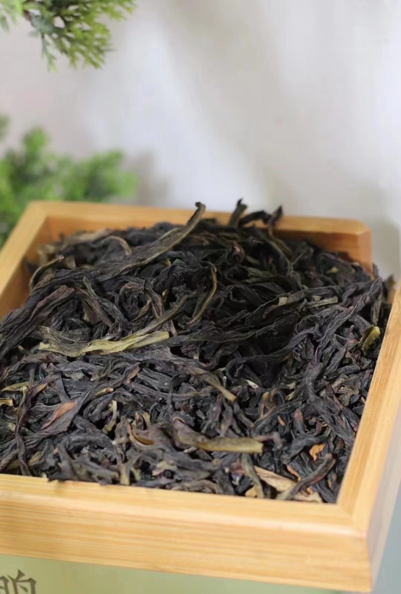 单枞茶鸭屎香乌龙新茶春茶清香礼盒装500克