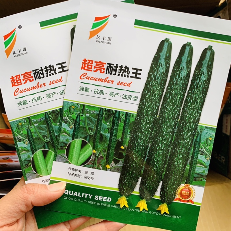 超亮耐热王黄瓜种子高产早熟抗病春夏秋露地秋延大棚耐高温