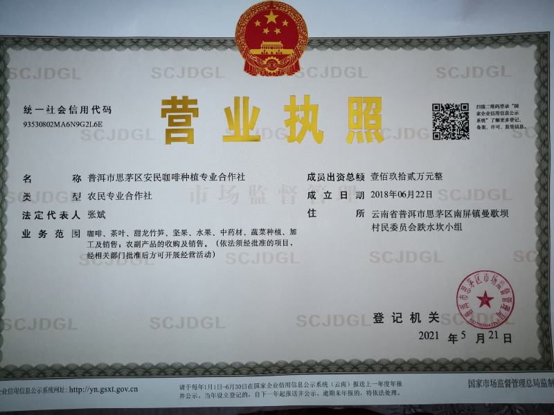 阿拉比卡豆云南小粒咖啡生豆原料可提供产地检测报告