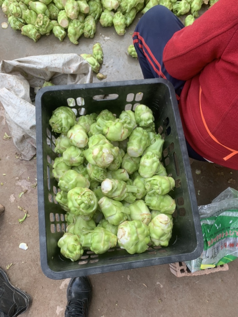 四川榨菜基地大量有货。有需要的老板可以随时联系我