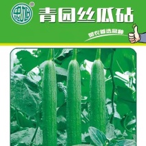 嫁接丝瓜砧木丝瓜嫁接砧木种子丝瓜嫁接专用砧木种子