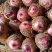产地直发，高山红芽芋儿开始上市了，香糯可口，物美价廉。