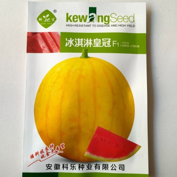 冰琪琳早熟品种子全生育期约80天，果实高圆，果皮金黄色覆