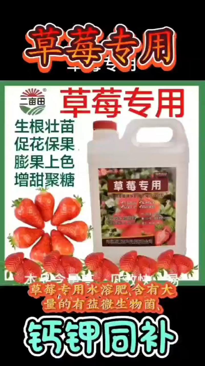 草莓专用肥，生根壮苗，保花保果增产增收！水溶肥