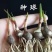 优选风雨兰四季开花重瓣风雨兰种球室内阳台花卉盆栽四季种球