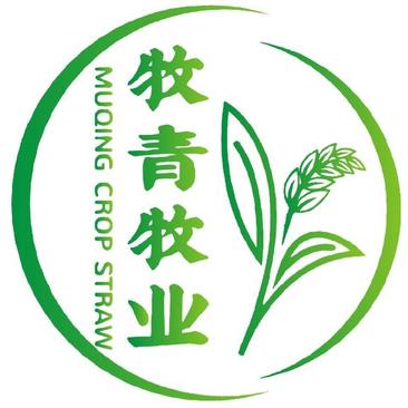 2024安徽小麦秸秆大方捆小麦秸秆大白包小麦秸秆