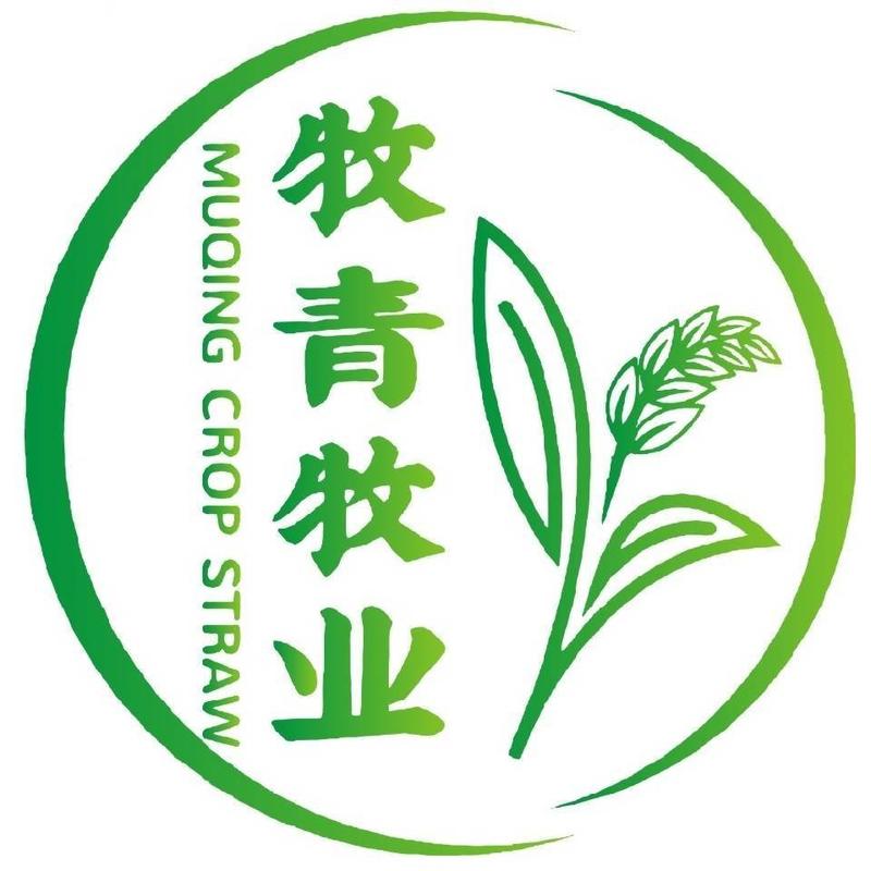 2024安徽小麦秸秆大方捆小麦秸秆大白包小麦秸秆