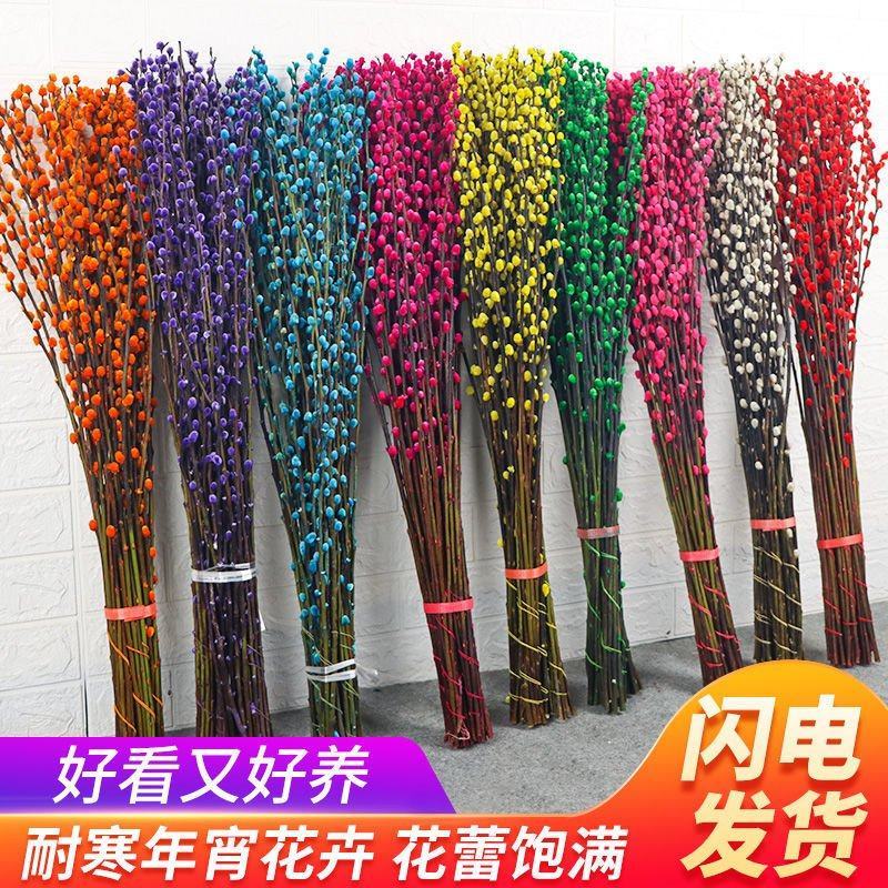 招财银柳真花干花年宵花卉七彩鲜枝水养耐寒摆件客厅装饰摆设