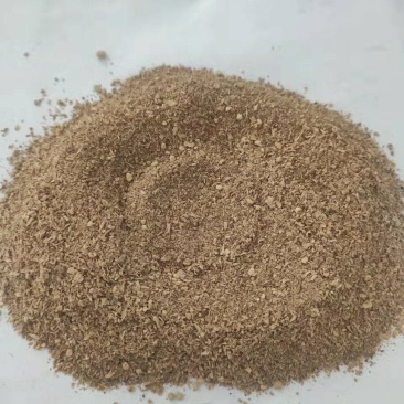 粉碎金针菇渣保证质量长年供应价位优惠