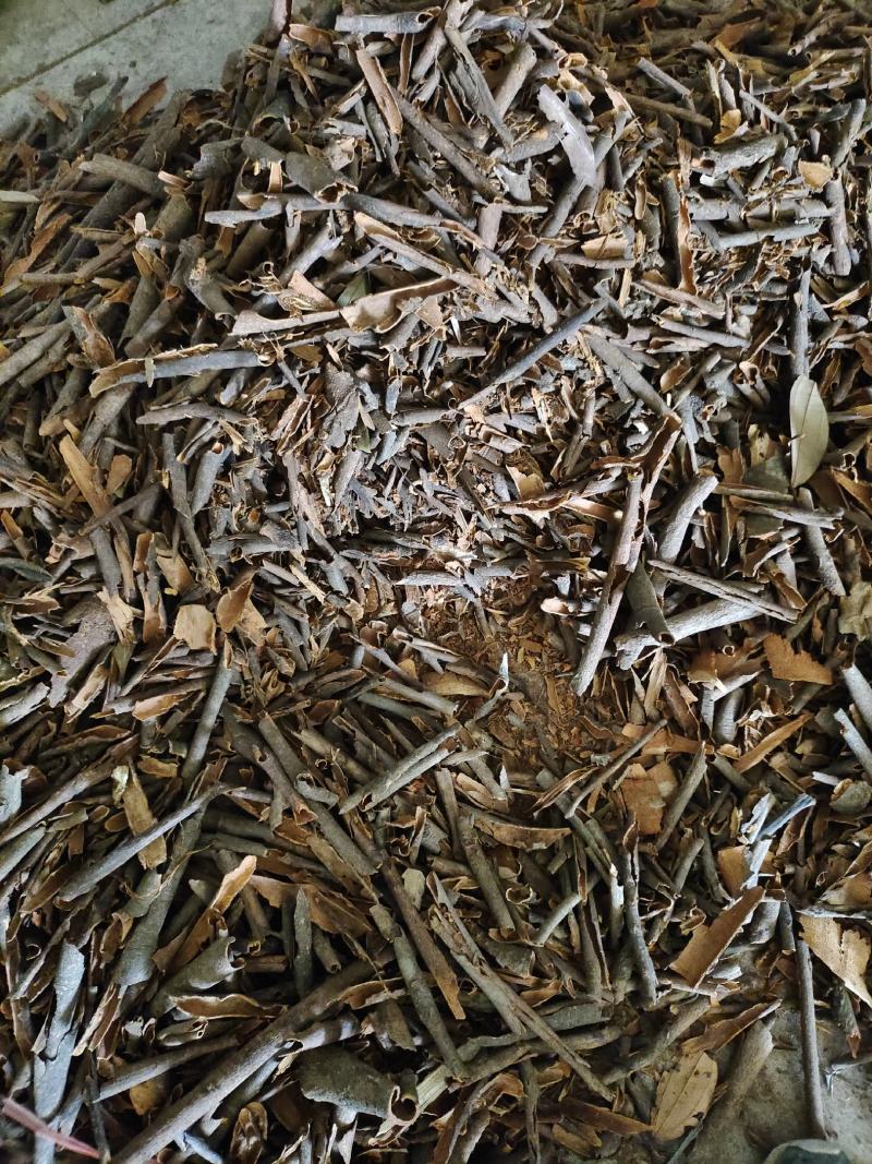 肉桂碎桂碎桂皮肉桂桂通烟桂桂皮碎片