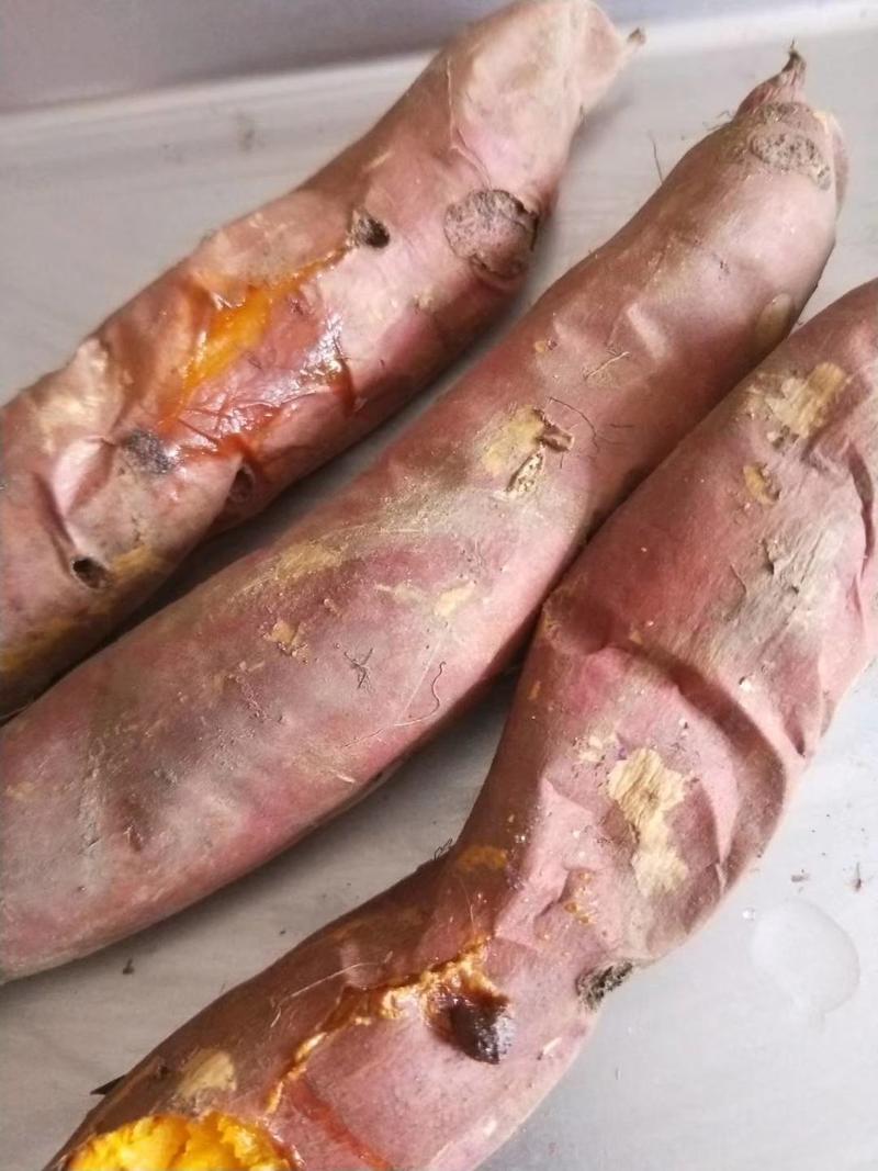唐山烟薯蜜薯糖化烤红薯专用薯规格齐全全国发货