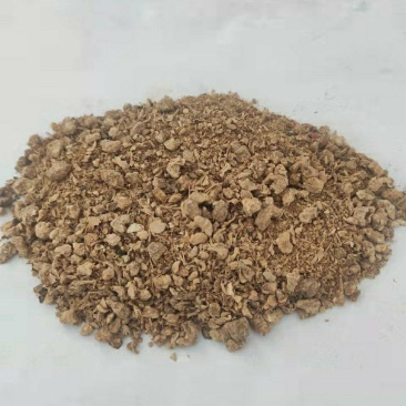 金针菇渣烘干金针菇渣蛋白10脂肪2保证质量价位优惠