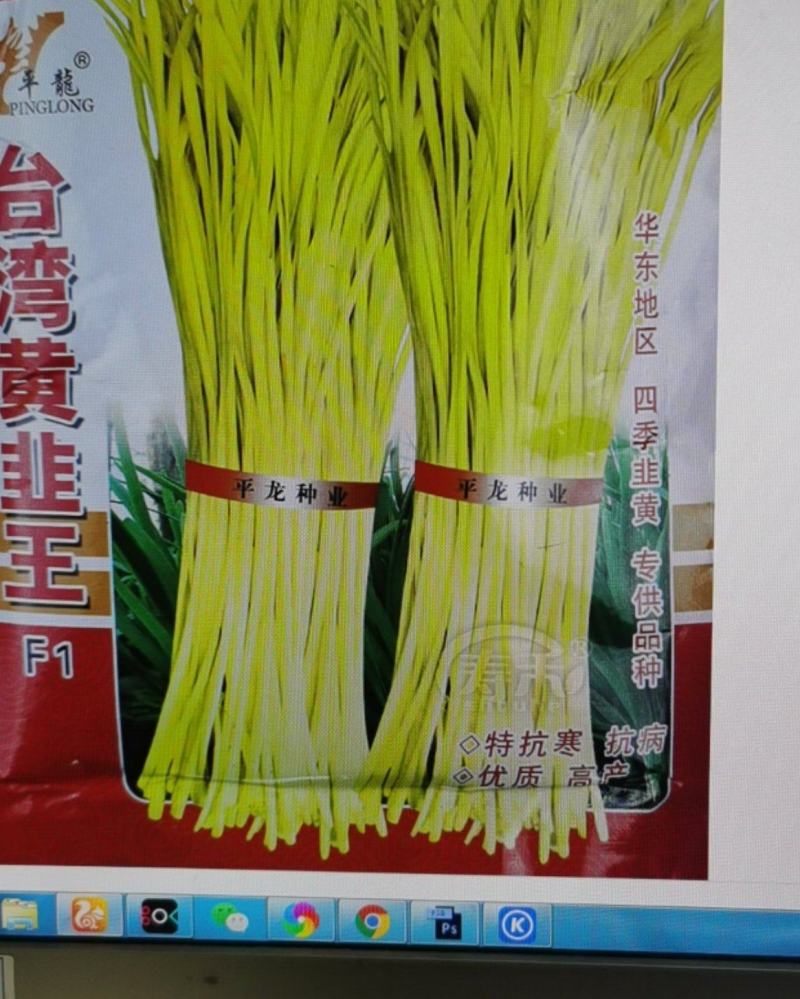 韭黄种子种籽黄韭蔬菜种四季韭菜盆栽菜籽菜种籽种南方春季种