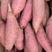 唐山沙地烟薯25烤红薯规格全货源足糖化全国发货