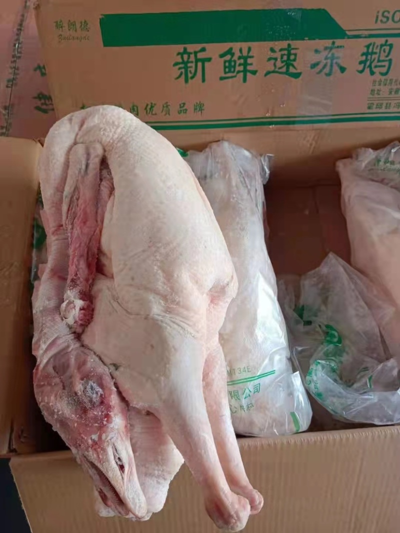 精品去掌去翅一级净膛鹅体烤鹅烧鹅专用鹅体