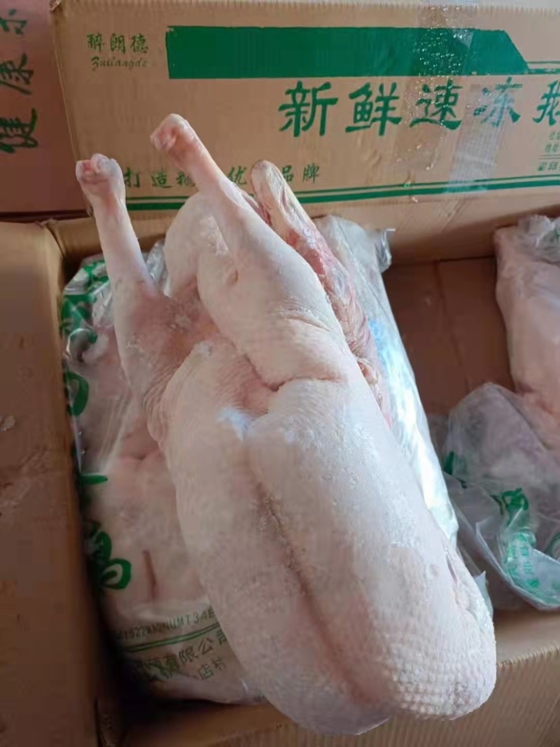 精品去掌去翅一级净膛鹅体烤鹅烧鹅专用鹅体