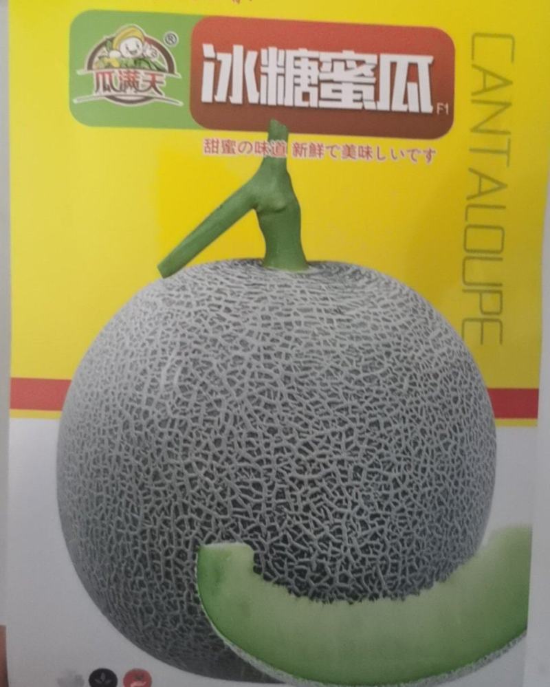 哈密瓜种冰糖蜜瓜种子橘红网纹哈蜜瓜籽基地种植甜度高肉厚