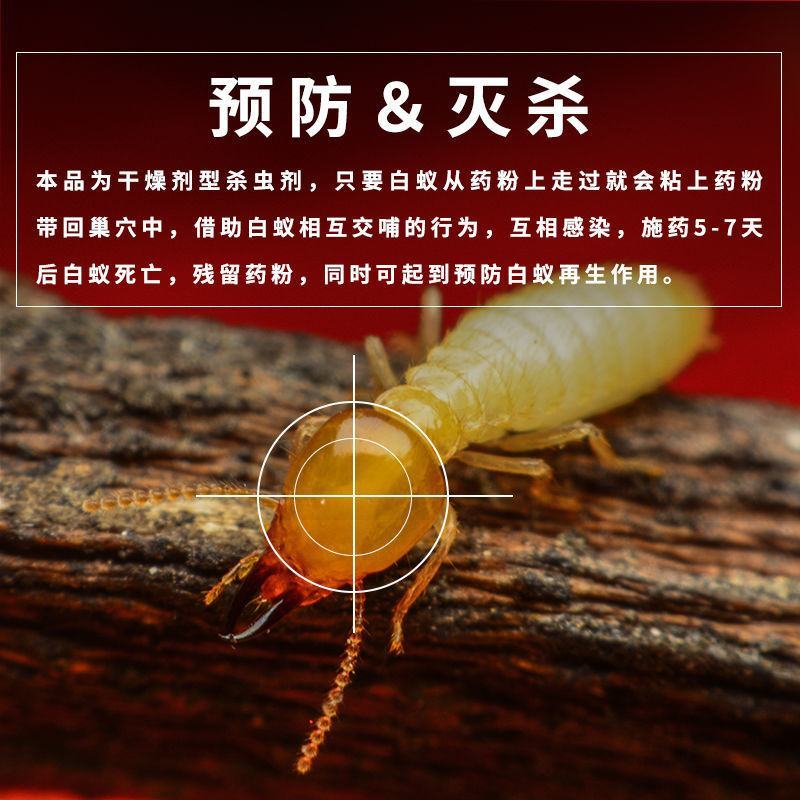 卫豹10%吡虫啉悬浮剂预防灭治白蚁药水装修木材功成杀虫剂