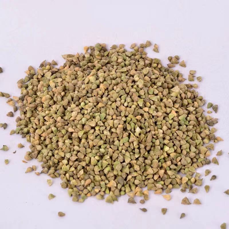 五色菊种子春秋播种阳台花坛盆栽花卉景观花海花卉种子籽