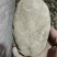 【低价出售青薯九号】万亩基地直供优质服务大量对接客商