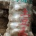 【低价出售青薯九号】万亩基地直供优质服务大量对接客商