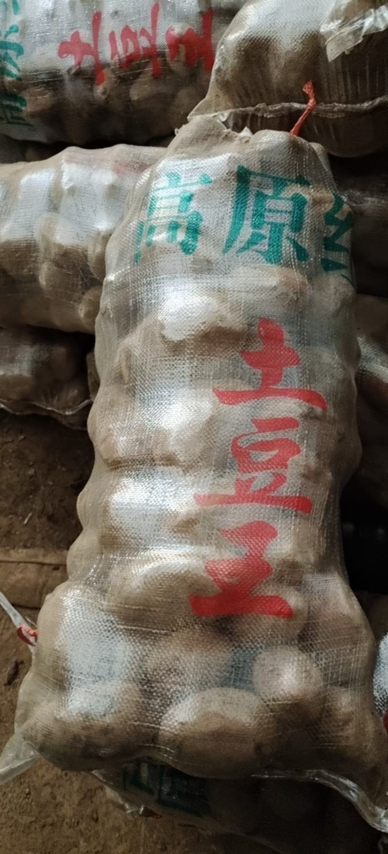 【低价出售青薯九号】万亩基地直供优质服务大量对接客商