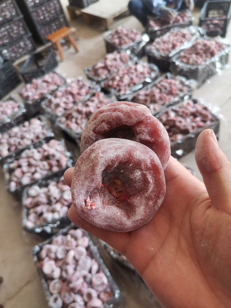 高次饼广西桂林柿饼便宜柿饼地摊江湖货广西柿饼次饼口袋饼