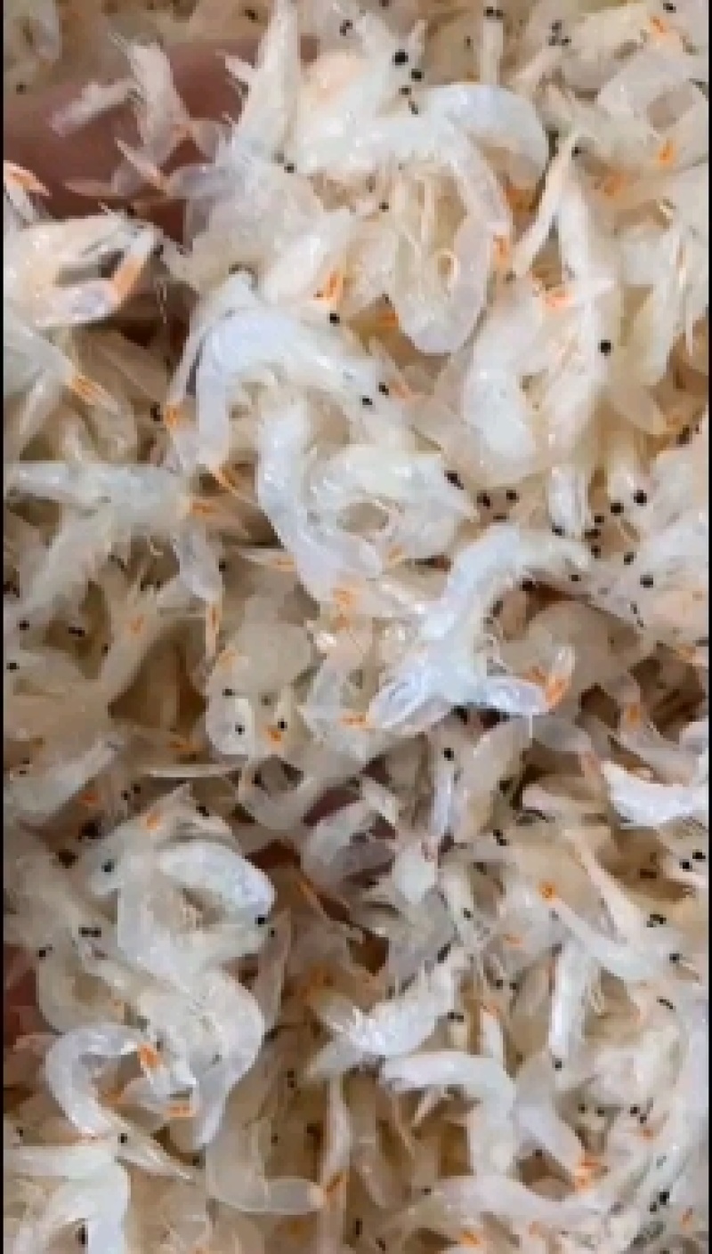 淡干虾皮！厂家一手货源！手续齐全！支持定制！！