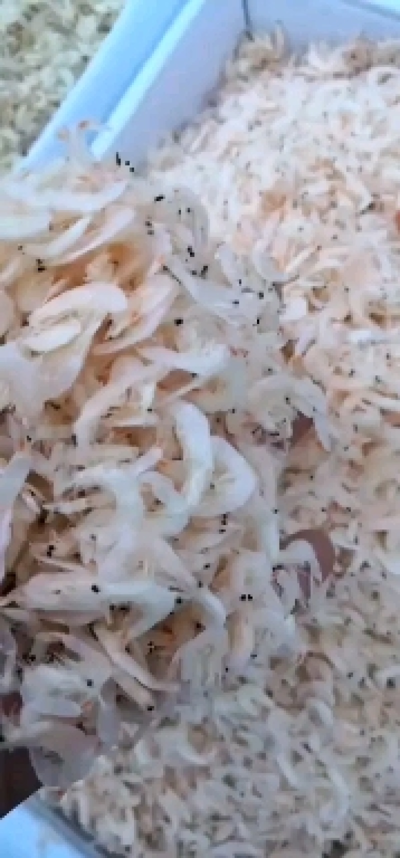淡干虾皮！厂家一手货源！手续齐全！支持定制！！