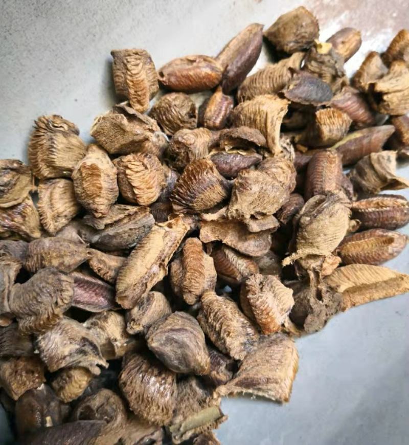 桑螵蛸干货常年经营各种中药材欢迎选购！
