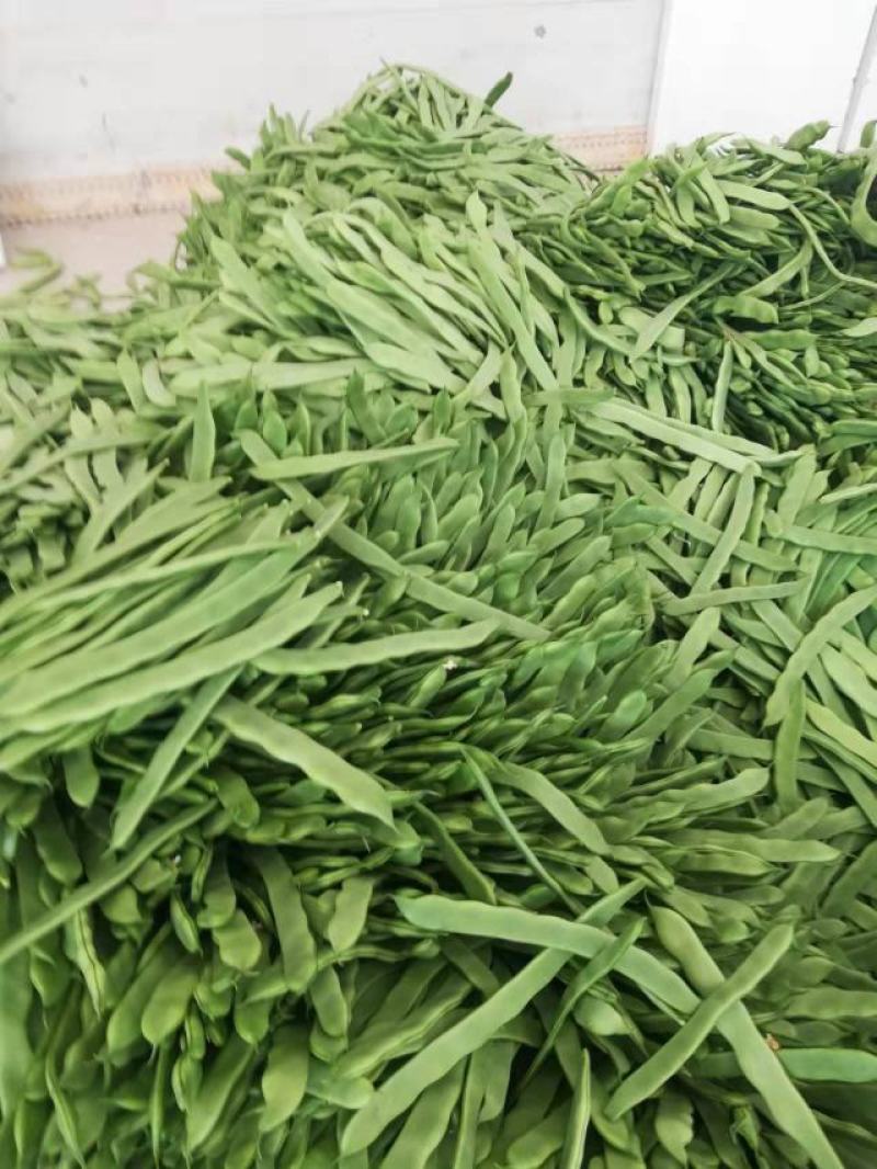 芸豆30cm以上高温棚种植品种多，质量优，颜色绿。