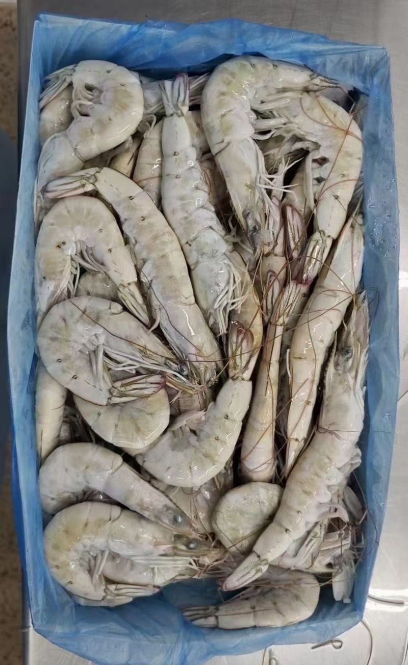 欧玛莎盐冻虾一手货源，一箱6盒装24斤