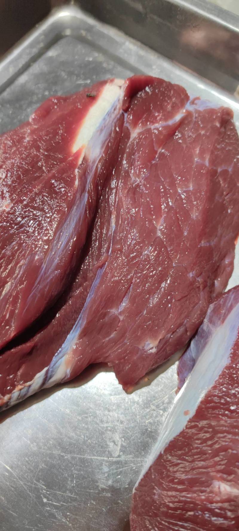 骆驼肉现宰无骨去皮瘦肉牧场直发