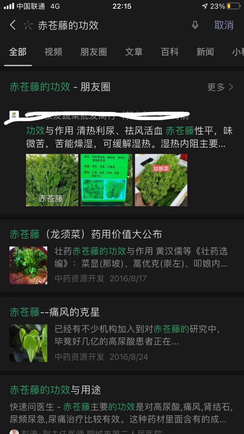 赤苍藤苗一年苗高度30-40公分林下种植效果好