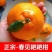 四川资阳春见柑橘，耙耙柑，果园直采，大量供货中，对接批发