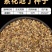紫花地丁多年生耐寒花籽花四季播地被矮生花卉种子籽