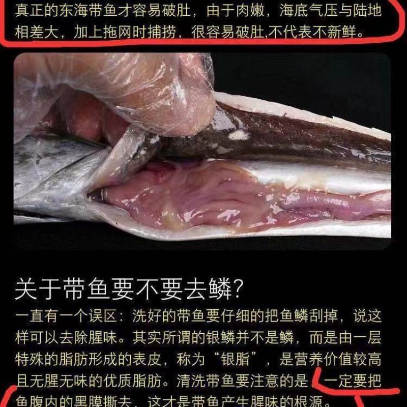 舟山东海小眼带鱼冷冻海鲜水产山东日照发货