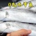 舟山东海小眼带鱼冷冻海鲜水产山东日照发货
