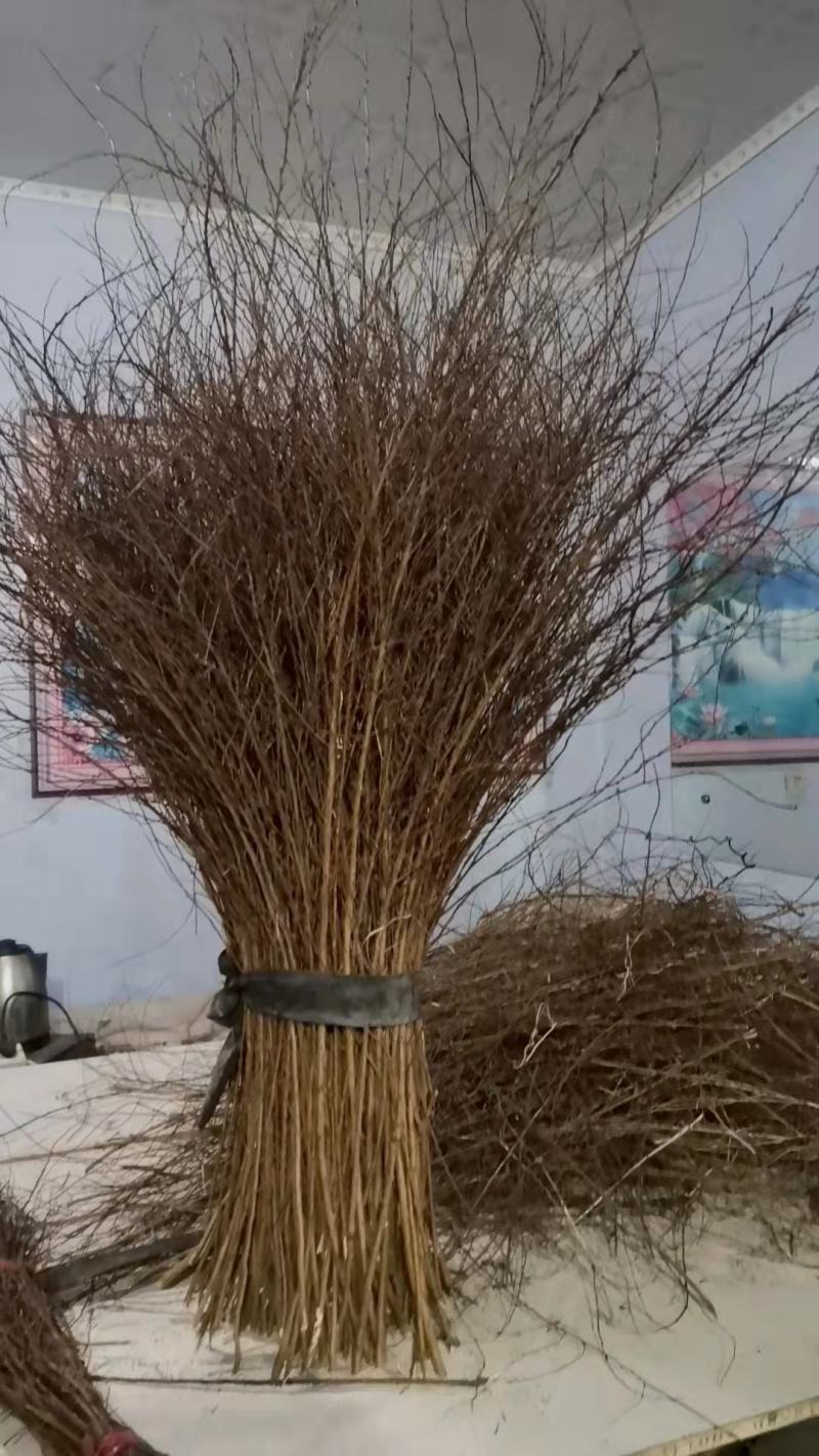 雪柳干枝雪柳珍珠绣线菊产地直发支持一件代