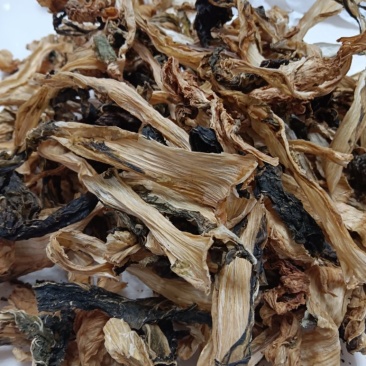 脱水娃娃菜厂家直销不满意可以退换