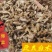 改良白术种子，发芽率高，纯新种子提供种植技术包回收