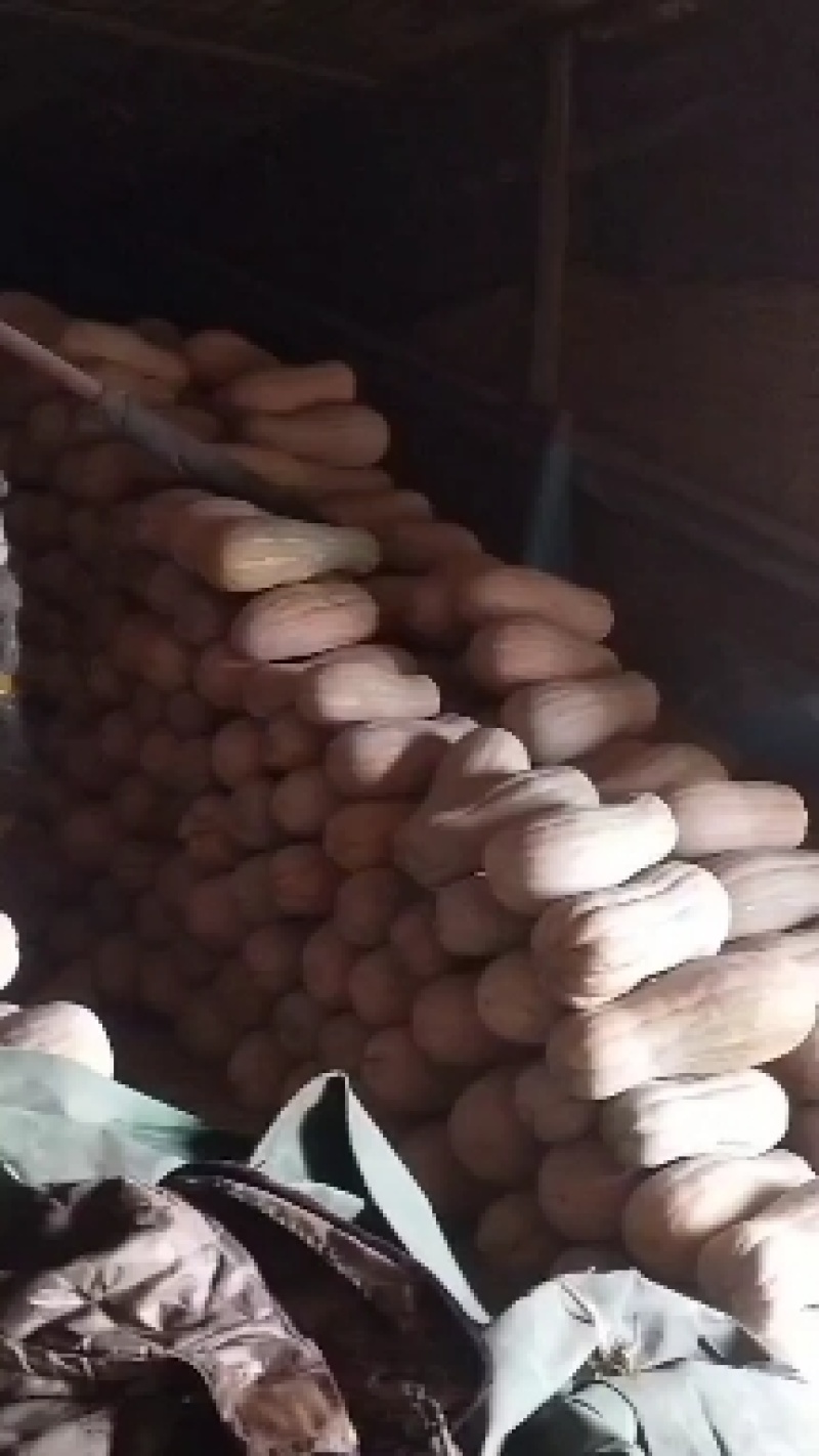 精品密本南瓜，颜色全黄，个头均匀。