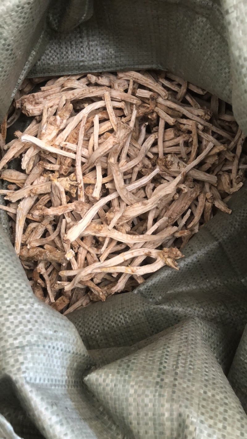 商洛去尾大条桔梗（包含量）大量上市，欢迎全国采购商致电
