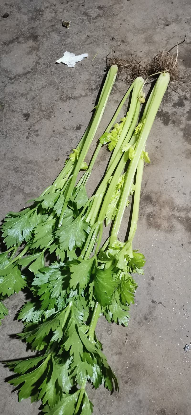 联系我是请说是在一亩田上看到的，产地直供优质小西芹