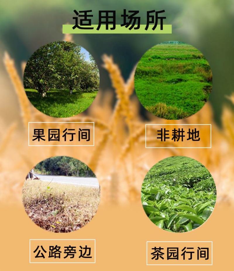 侨昌拼达草甘膦广谱灭生性除草剂草铵磷非耕地灭生性除草剂